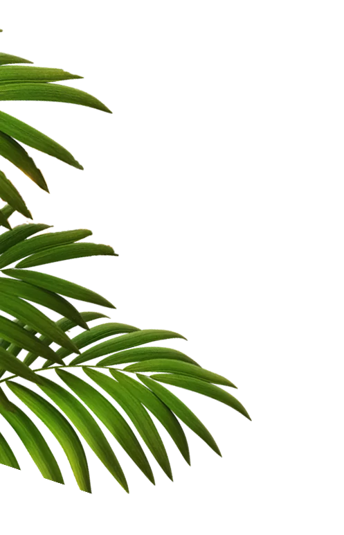 lampu