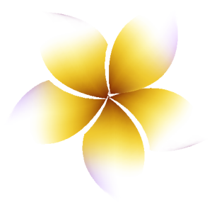 lampu